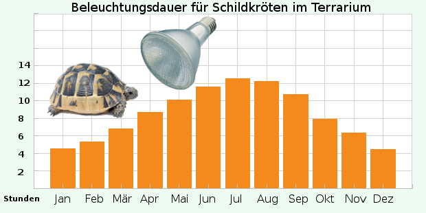 AIICIOO UVB-Lampe Für Reptilien – Vollspektrum-T8-Röhre, 15W, Perfekt Für Schildkröten, Echsen & Wüstentiere