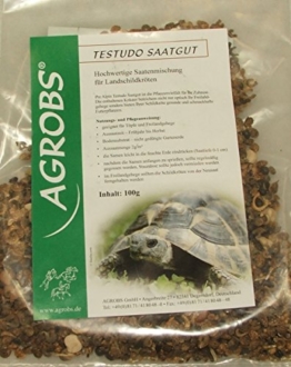 Agrobs Testudo Saatgut 100 gr. - 1