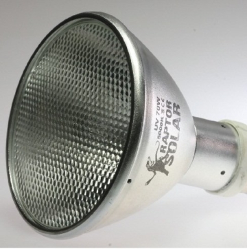 Econlux SolarRaptor 50W PAR30 HID-Flood-Strahler - 1
