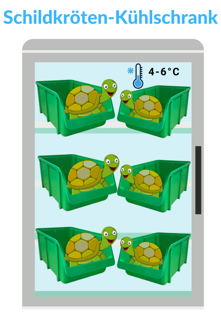 Schildkröten-Kühlschrank