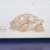 Qualität aus Niederbayern ARBRIKADREX Schildkröte Premium Schildkrötenhaus XXL (L:60cm; B.40cm; H:31cm) mit Sonnendach, Windfang, Einstellbarer Belüftung und Plexiglastor 18mm Vollholz Fichte - 8