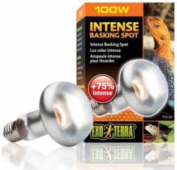 Exo Terra Intense Basking Spot Tageslicht-Wärmelampe 100W - 1