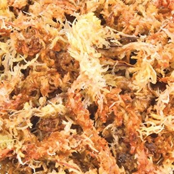 Trixie 76158 Sphagnum Moos, tropisches Terrariensubstrat, ergibt 4,5 l - 2