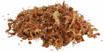 Trixie 76158 Sphagnum Moos, tropisches Terrariensubstrat, ergibt 4,5 l - 4