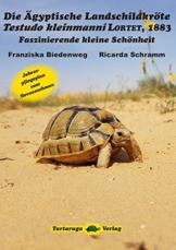 Die Ägyptische Landschildkröte Testudo kleinmanni Lortet, 1883: Faszinierende kleine Schönheit - 1