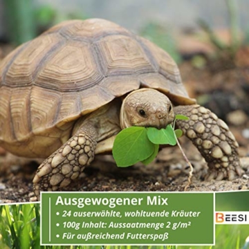 100g Schildkröten Samenmischung für Futterpflanzen inkl. Aussaat Anleitung - 3